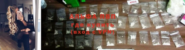 ALPHA PVP Пестово