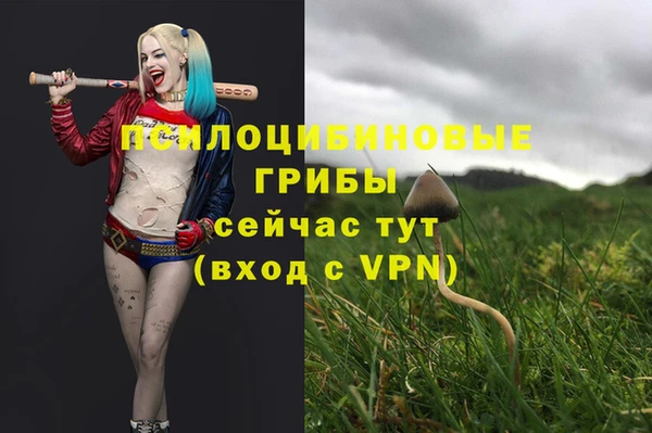 соль курить ск Пересвет