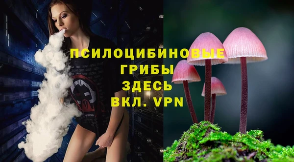 скорость mdpv Переславль-Залесский